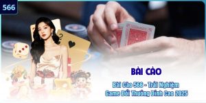 Bài cào